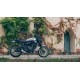 XSR700 Legacy