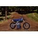 YZ450F Monster Energy Yamaha Racing Edition
