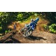 2025 YZ450F