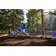 2025 YZ450F