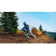 2025 YZ450F