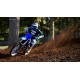 YZ450F 2024