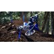 YZ450F 2024