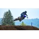YZ450F 2024