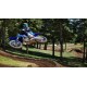 YZ450F 2024