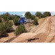 YZ450F 2023