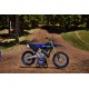 YZ250F Monster Energy Yamaha Racing Edition