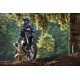 YZ250F Monster Energy Yamaha Racing Edition