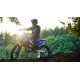 YZ250F 2024