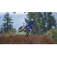 YZ250F 2024