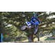 YZ250F 2024