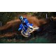 YZ250F 2024