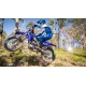 YZ250F 2023