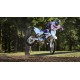 50-lecie modelu YZ250