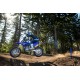 YZ250