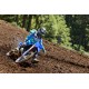YZ250