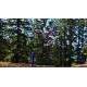 50-lecie modelu YZ450F