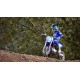 YZ65 2024