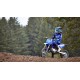 YZ65 2024