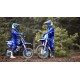 YZ65 2024