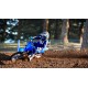 YZ65 2024