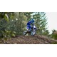 YZ65 2024