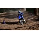 YZ65 2024