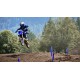 YZ65 2024