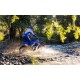WR450F