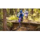 WR450F 2023
