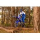 WR250F