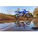 WR250F 2024