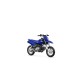 TT-R50 2023