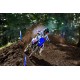 YZ125
